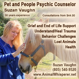 Suzan Vaughn Pet & People Psychic Counselor